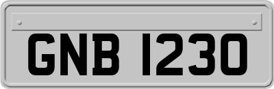 GNB1230