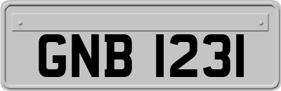 GNB1231