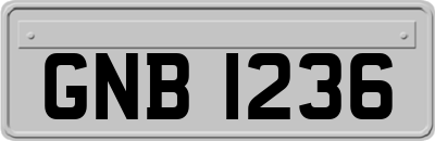 GNB1236