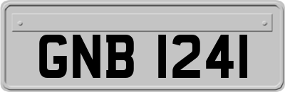 GNB1241