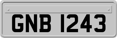 GNB1243