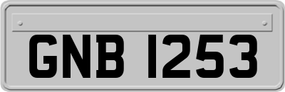 GNB1253