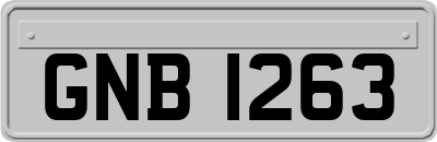 GNB1263