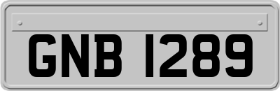 GNB1289