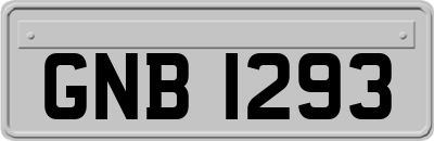 GNB1293