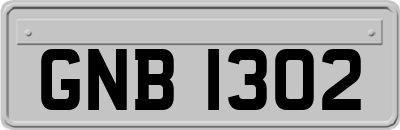 GNB1302