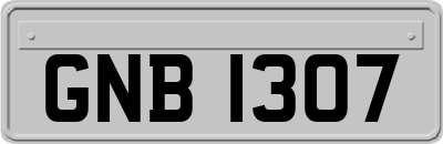 GNB1307