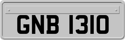 GNB1310