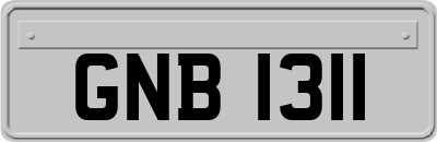 GNB1311