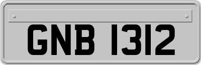GNB1312