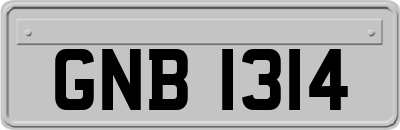 GNB1314