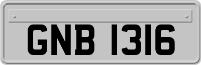 GNB1316