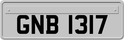 GNB1317