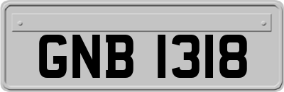 GNB1318