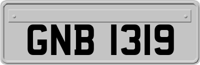 GNB1319