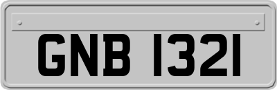 GNB1321