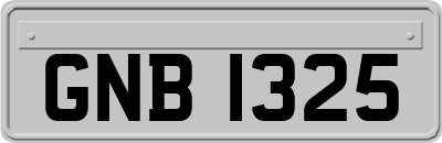 GNB1325