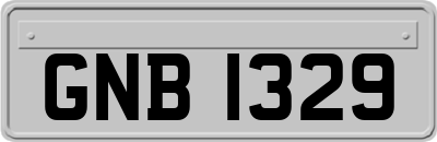 GNB1329