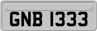 GNB1333