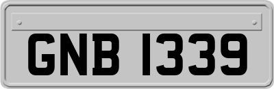 GNB1339
