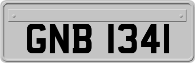 GNB1341