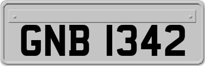 GNB1342