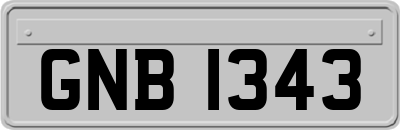 GNB1343