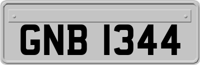GNB1344