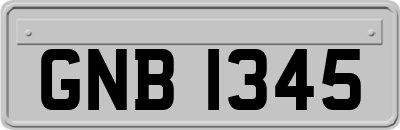 GNB1345