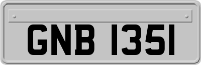 GNB1351