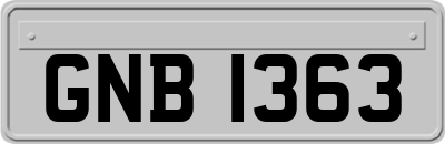 GNB1363