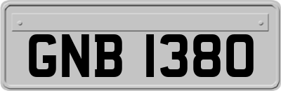 GNB1380