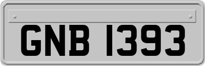 GNB1393