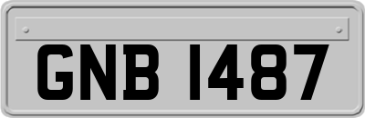 GNB1487