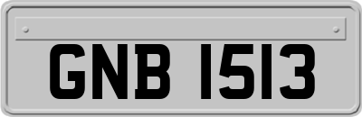 GNB1513