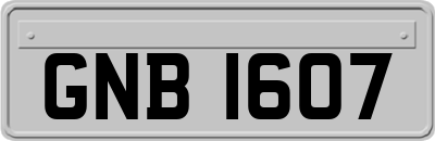 GNB1607