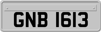 GNB1613