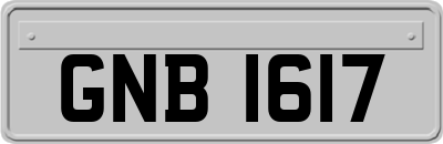 GNB1617