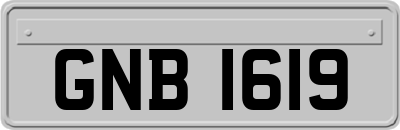 GNB1619