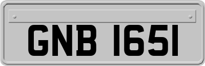 GNB1651