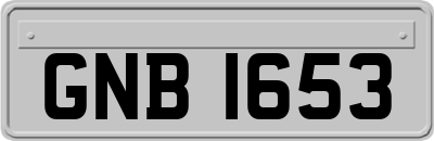 GNB1653