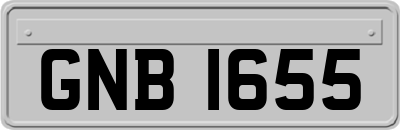 GNB1655