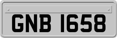 GNB1658