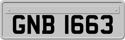 GNB1663