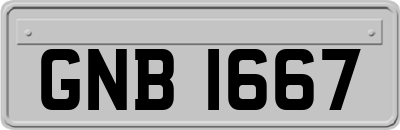 GNB1667