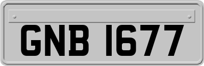 GNB1677