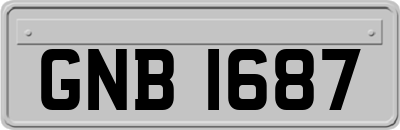 GNB1687