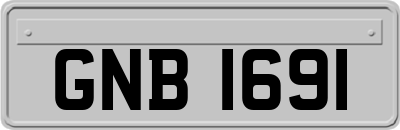 GNB1691