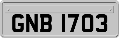 GNB1703