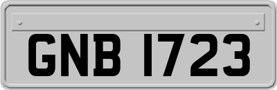 GNB1723